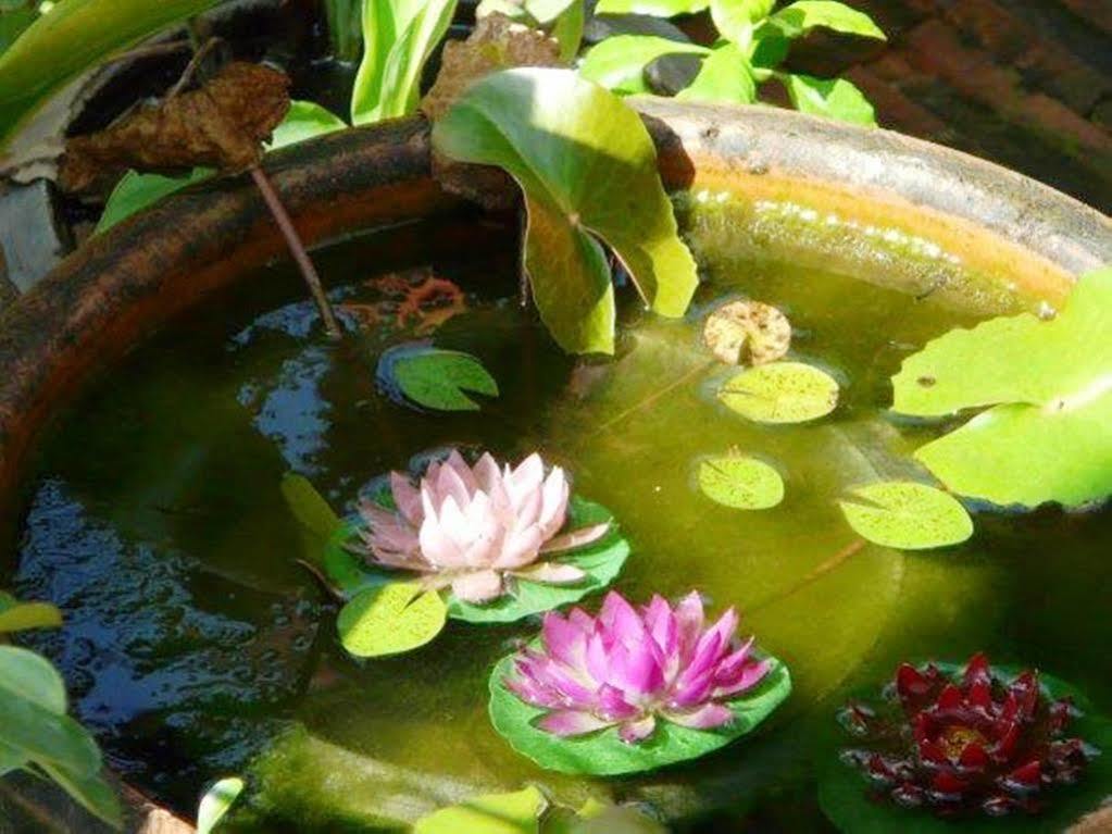 In 1 Chiang Mai